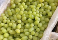 哪些水果既能满足味蕾又能有效降火？