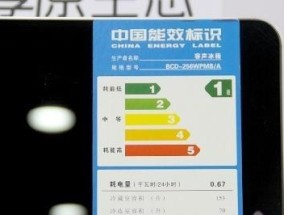解决三星冰箱照明灯常亮问题的方法（如何修理冰箱照明灯不亮的故障）