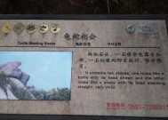 分析登牌空调风叶滴水原因（解析空调风叶滴水问题及解决方法）