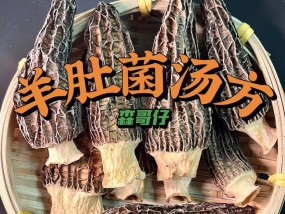 羊肚菌怎么做最美味营养？分享独家秘方！