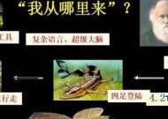 人类起源史讲解？探索人类起源的奥秘和历史进程是什么？