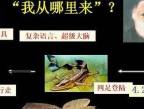 人类起源史讲解？探索人类起源的奥秘和历史进程是什么？