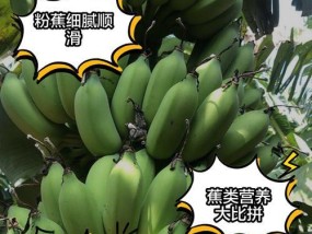 香蕉的好处和营养价值是什么？如何通过食用香蕉获得最大健康益处？