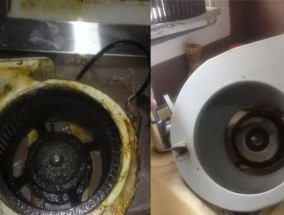 蒸汽油烟机的清洗与维护（了解清洗蒸汽油烟机的正确方法）