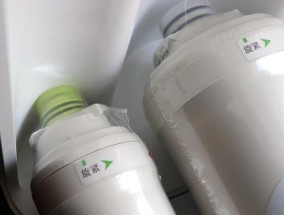 小区净水器滤芯安装方法（简单易行的家用净水器滤芯更换步骤）