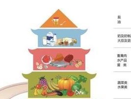 哪些食物能有效提高免疫力？排行榜前十名是什么？