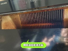 如何清洗以玻璃面油烟机（简单易行的清洁方法与技巧）