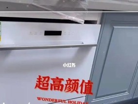 如何正确安装洗碗机架子（简单易懂的安装步骤）