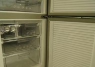 如何正确清洗冰箱（掌握冰箱清洗技巧）