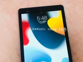 iPad儿童模式（设置iPad儿童模式的方法和功能介绍）