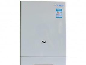 壁挂炉燃气烧不完的处理方法（解决壁挂炉燃气烧不完的实用技巧）