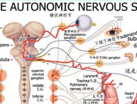 缓解紧张最好的最有效的方法是什么？如何快速缓解紧张情绪？