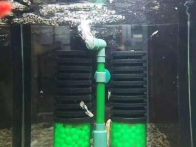为什么用热水器的水养鱼？对鱼有哪些影响？