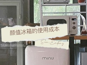 小霸王饮水机坏了，如何解决（快速修复小霸王饮水机故障的方法）