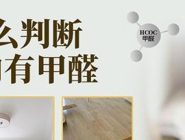 如何快速散除家中的甲醛？有效方法有哪些？