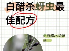 白醋洗脸的正确方法是什么？如何避免常见的误区？