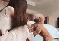 如何训练泰迪犬？泰迪犬训练技巧有哪些常见问题？