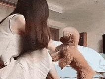 如何训练泰迪犬？泰迪犬训练技巧有哪些常见问题？