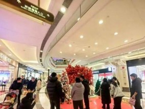海奇冰柜维修价格揭秘（了解海奇冰柜维修费用）