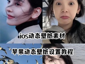 苹果手机如何设置自动切换壁纸？需要哪些设置？