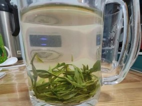 泡龙井茶的正确方法是什么？如何泡出最佳口感的龙井茶？