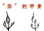 中国汉字字体的演变历程是怎样的？各个阶段有哪些特点？