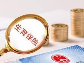 生育津贴工资劳动法规定是什么？如何正确申请？