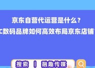 京东数据线的运营策略是什么？