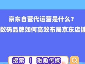 京东数据线的运营策略是什么？