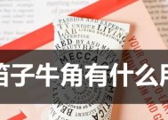 竹笛音域转换器使用技巧有哪些？