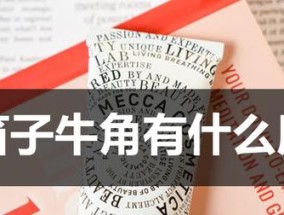 竹笛音域转换器使用技巧有哪些？
