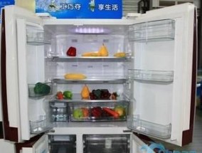探究新飞冰箱冷冻不制冷原因及解决方法（解决新飞冰箱冷冻不制冷的有效措施）