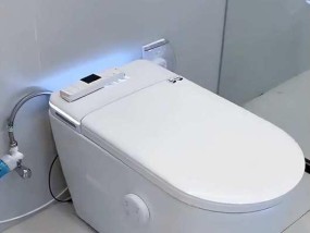 马桶边缘渗水维修价格及方法（马桶边缘渗水怎么办）