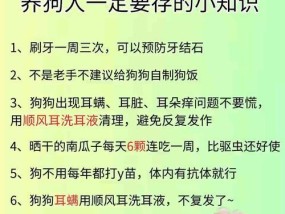 如何有效杀死猫咪耳螨？这些小妙招你知道吗？