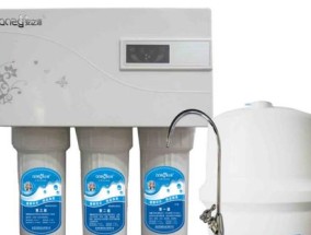 海园净水器故障解决方案（解决海园净水器故障的实用技巧）