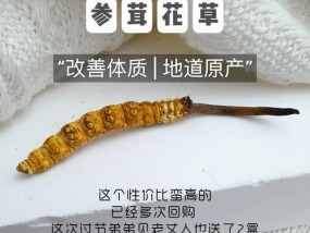 冬虫夏草真假怎么辨别？如何确保购买到正品？