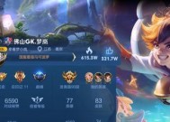 王者荣耀职业选手要求是什么？如何成为合格的职业选手？