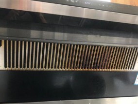 如何正确拆卸油烟机的过滤网（简单易懂的拆卸步骤）