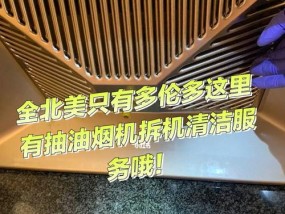 如何正确清洗得意抽油烟机的风轮（简单操作让你轻松解决油污困扰）