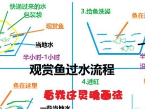 新鱼正确过水方法是什么？如何避免常见错误？