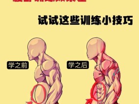 最好训练腹肌的动作分享？哪些动作最有效？