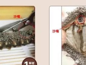 家庭干海参泡发的正确方法是什么？如何避免泡发过程中的常见错误？