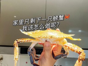 家庭做螃蟹的简单方法？如何快速准备美味螃蟹大餐？