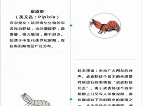 台风命名有哪些国际规则？命名规则背后的故事是什么？