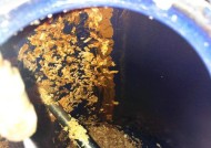 有效清洗热水器水垢的方法（轻松解决热水器水垢困扰）