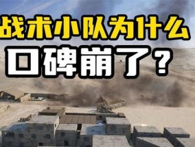 战术小队开设服务器需要哪些步骤？开设过程中可能遇到哪些问题？
