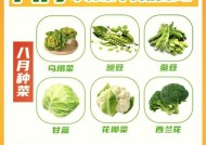 秋季蔬菜种植建议是什么？如何提高秋季蔬菜的产量和质量？