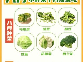 秋季蔬菜种植建议是什么？如何提高秋季蔬菜的产量和质量？
