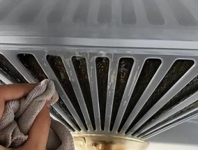 如何彻底清洗油烟机内的油污（简单有效的清洁方法）
