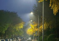 使用华为mate70如何拍摄星空？